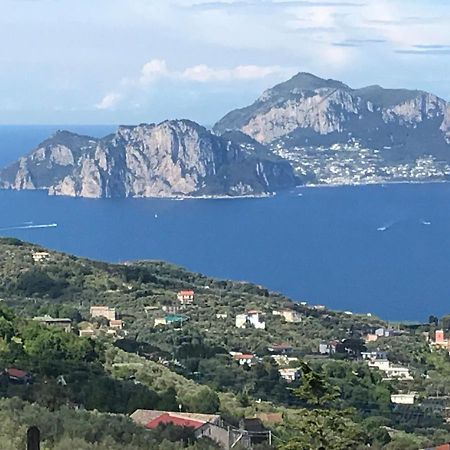 Resort Ferrara Villa Multa Quies Massa Lubrense Dış mekan fotoğraf