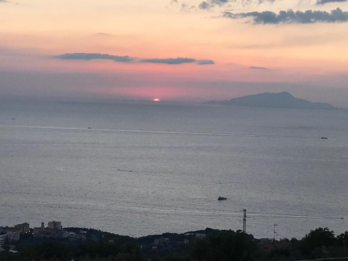 Resort Ferrara Villa Multa Quies Massa Lubrense Dış mekan fotoğraf